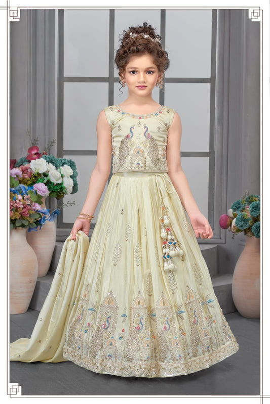 Girls Choli - Devikrupa Kidswear