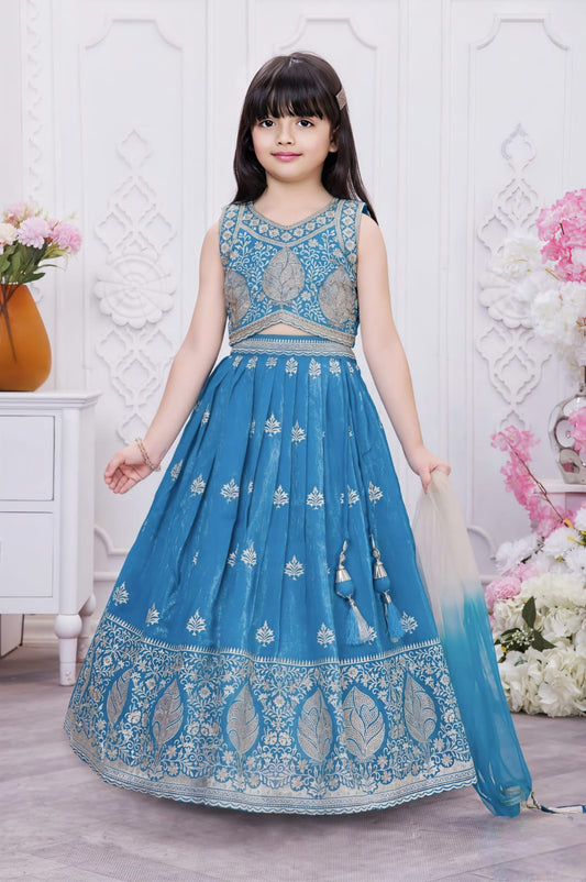Girls Choli - Devikrupa Kidswear