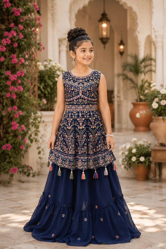 Choli DK384