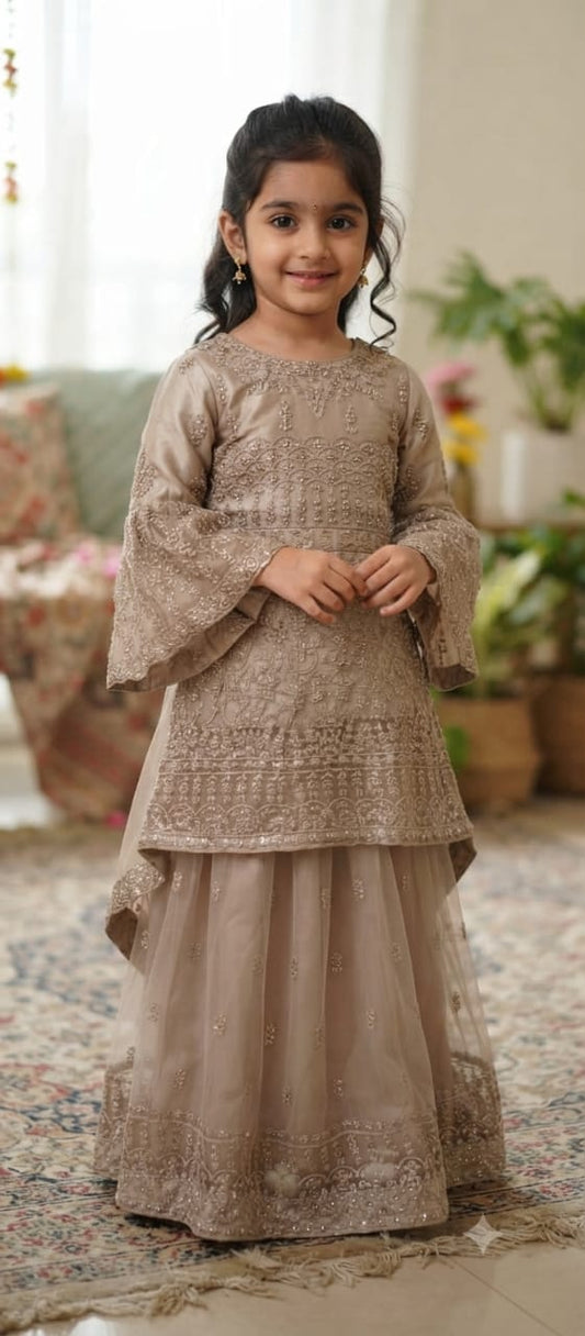 Choli DK547