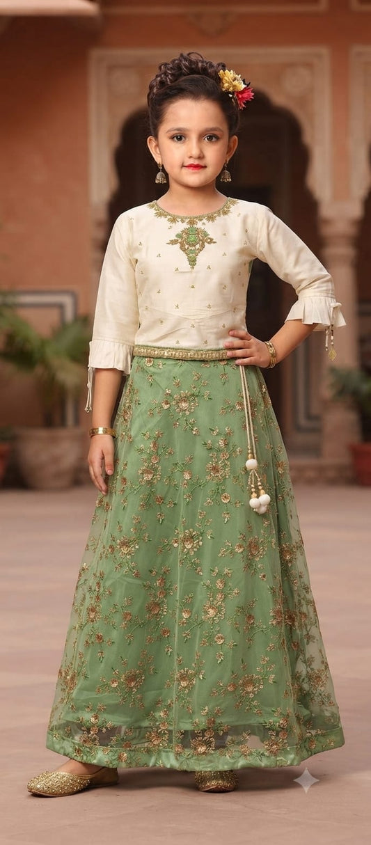 Choli DK739