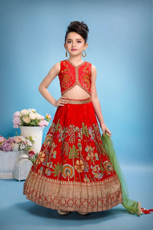 Girls Red Colour Choli