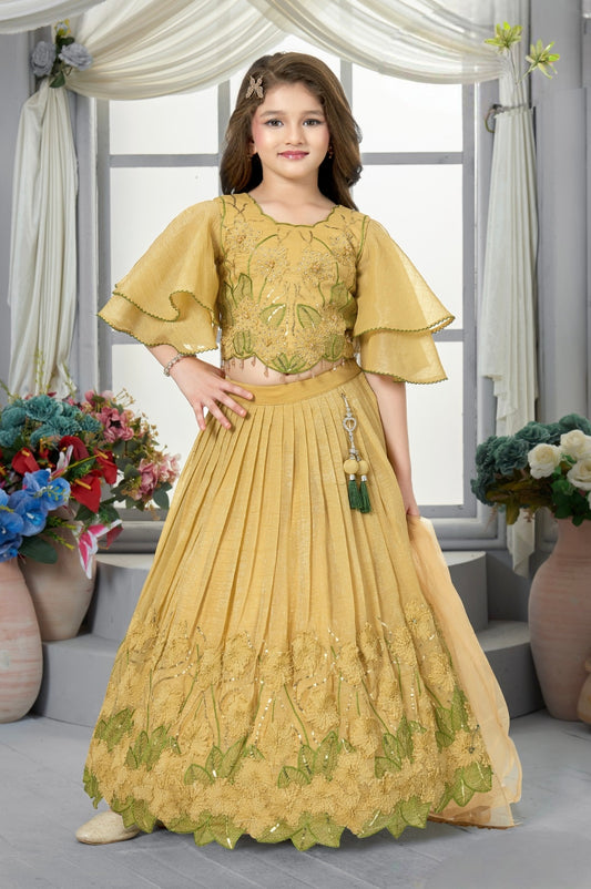 CHOLI DK 2397