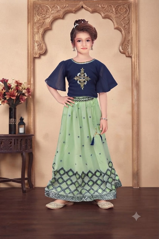 Choli DK1043