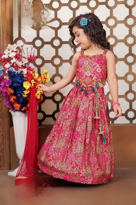 Girls Choli - Devikrupa Kidswear