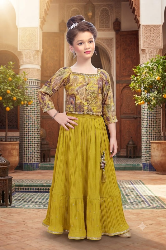 Choli DK152