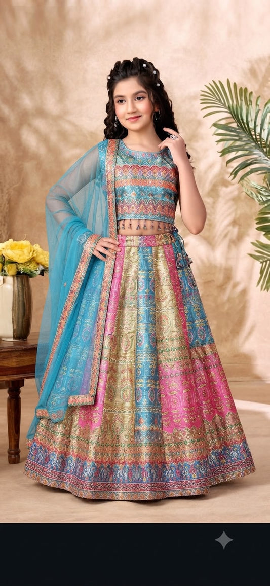 Girls Choli - Devikrupa Kidswear