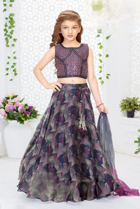 Choli DK1581
