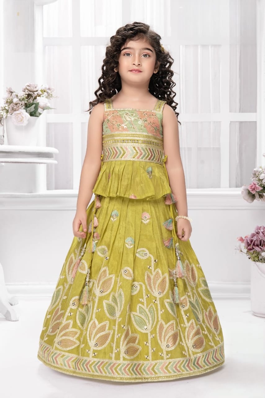 Girls Choli - Devikrupa Kidswear