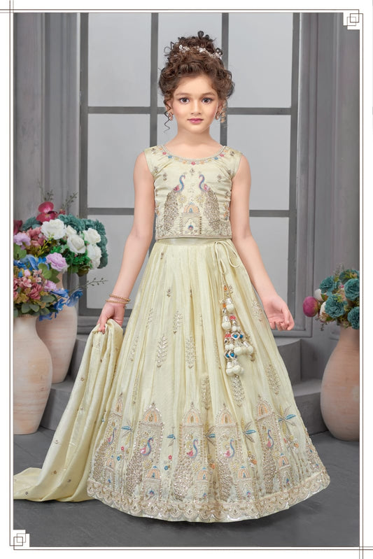 Girls Choli - Devikrupa Kidswear