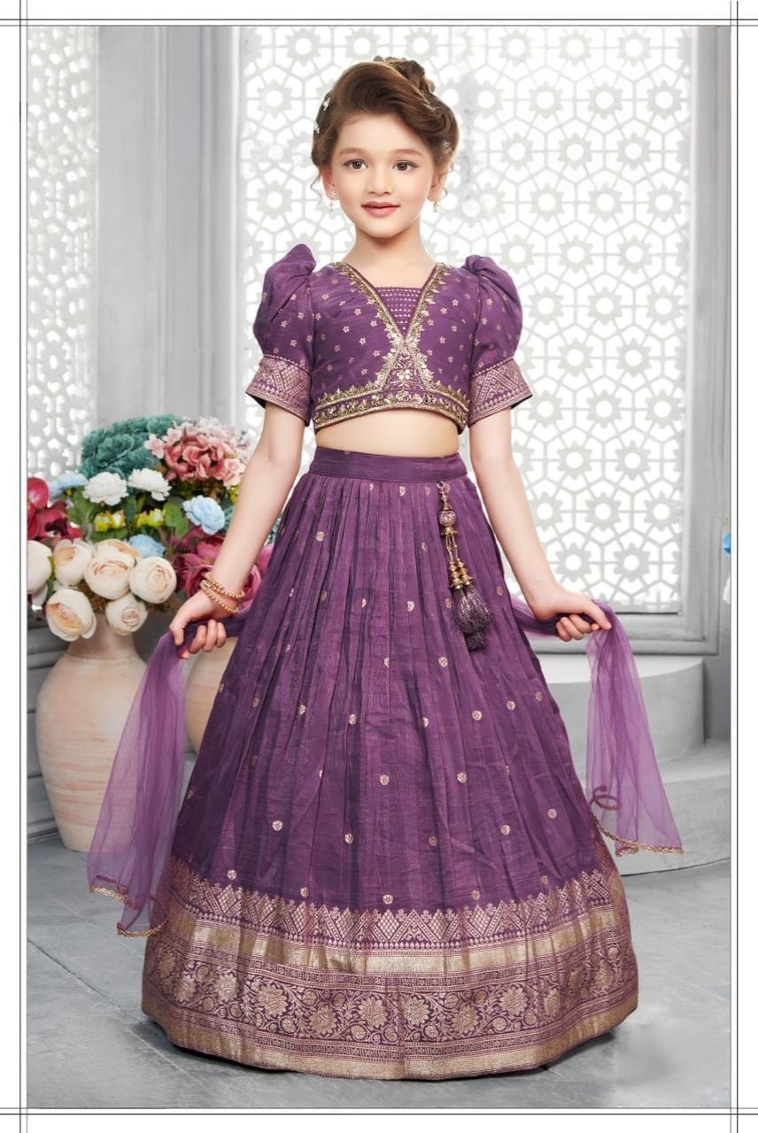 Girls Choli - Devikrupa Kidswear