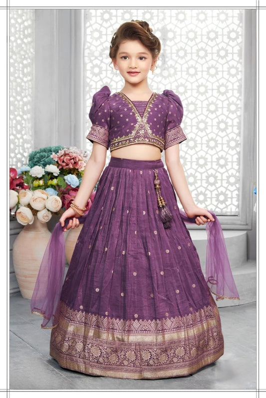 Girls Choli - Devikrupa Kidswear