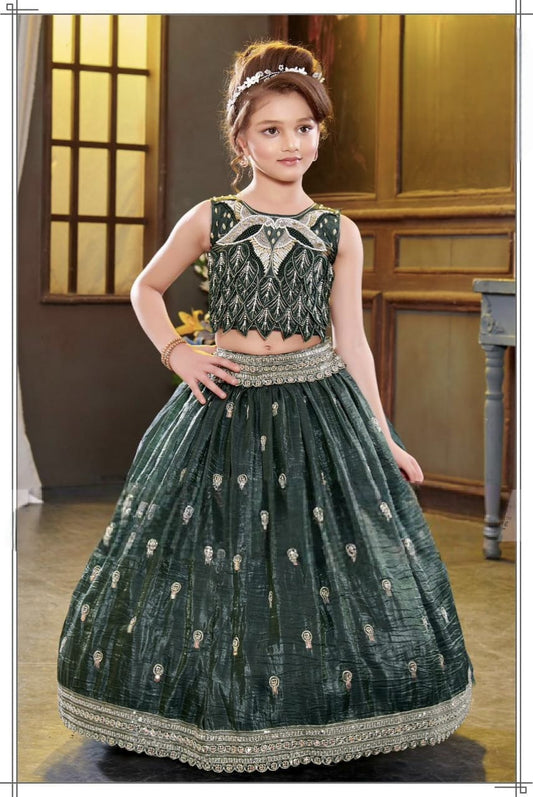 Girls Choli - Devikrupa Kidswear