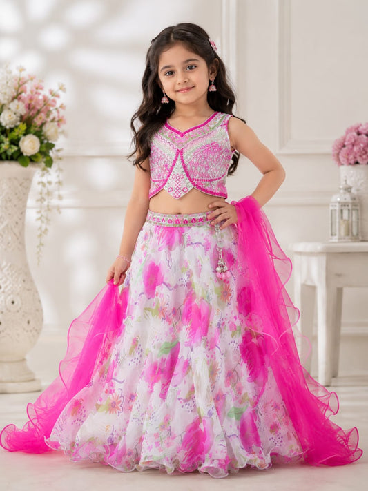 Girls Choli - Devikrupa Kidswear