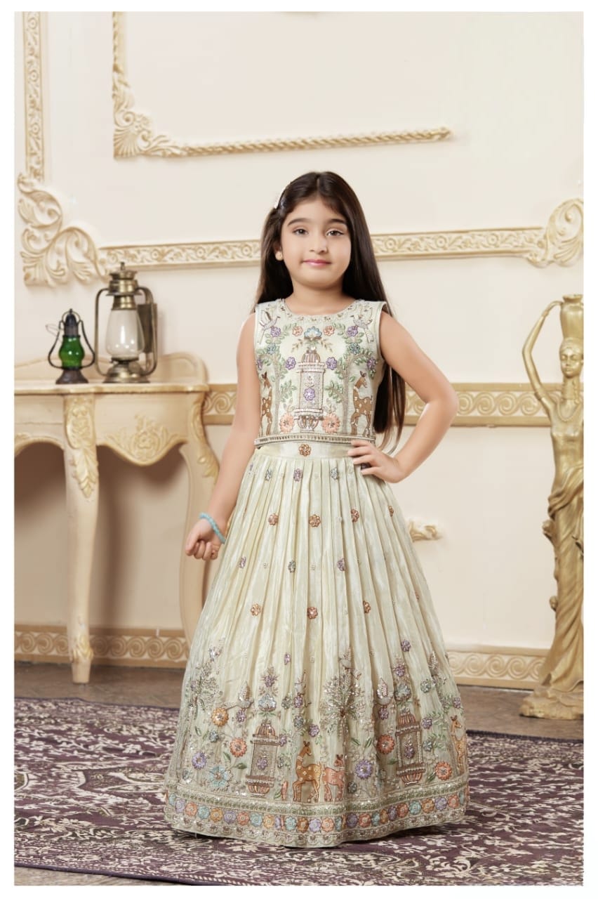 Girls Choli - Devikrupa Kidswear