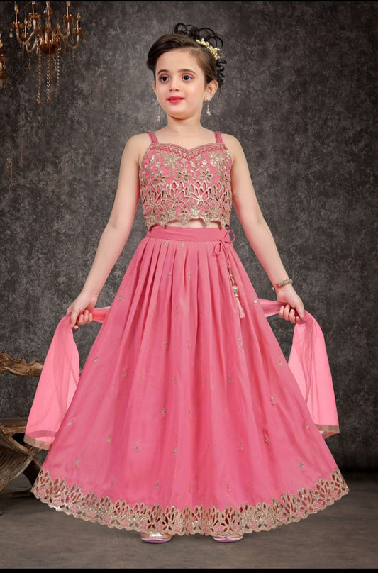 Girls Choli - Devikrupa Kidswear