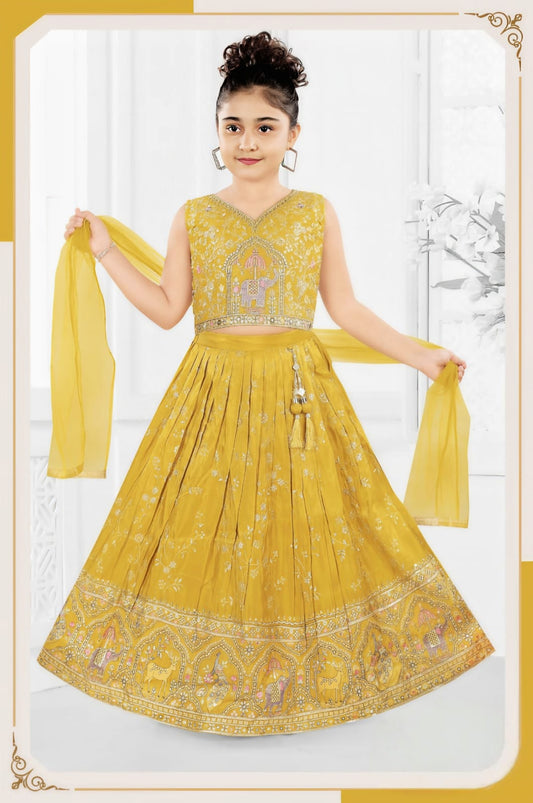 Girls Choli - Devikrupa Kidswear