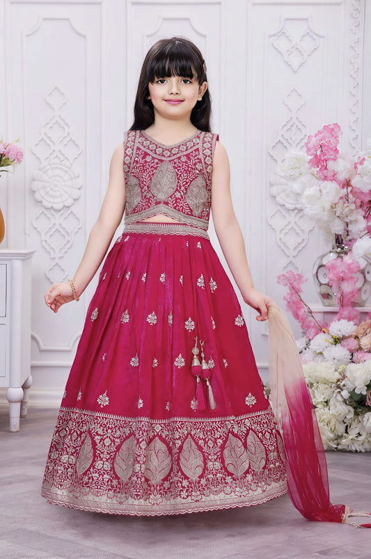 Girls Choli - Devikrupa Kidswear