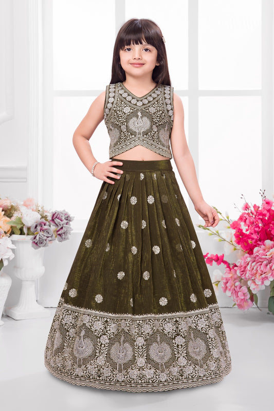 Girls Choli - Devikrupa Kidswear