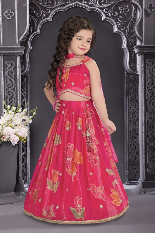 Girls Choli - Devikrupa Kidswear