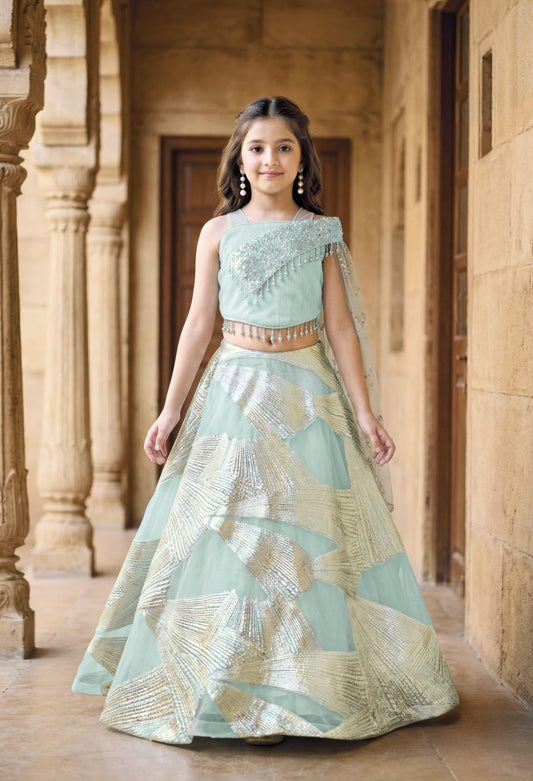 Girls Choli - Devikrupa Kidswear