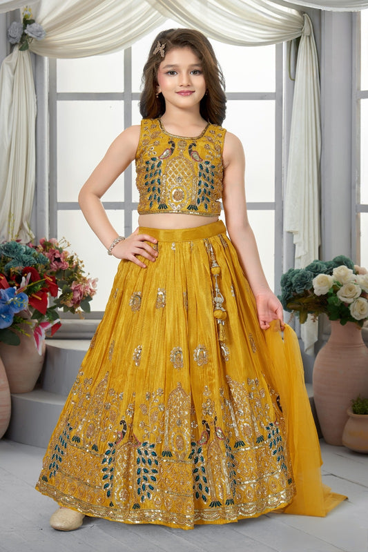 Girls Choli - Devikrupa Kidswear