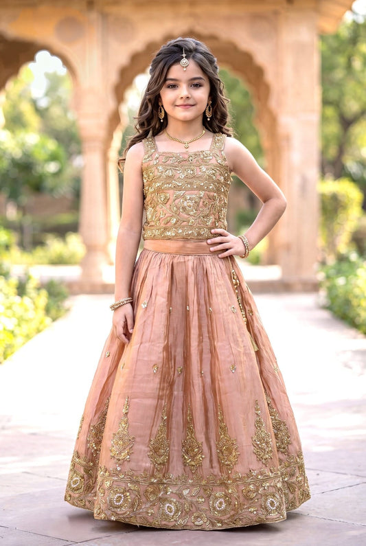 CHOLI DK 2517