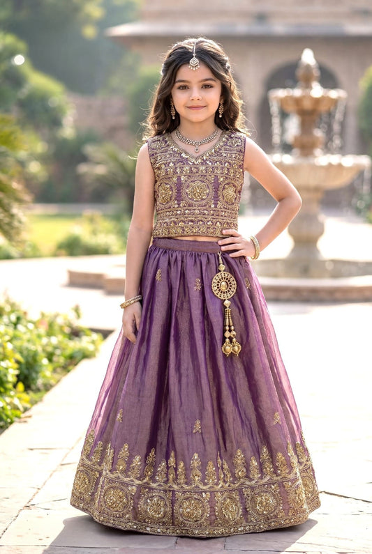 CHOLI DK 2518