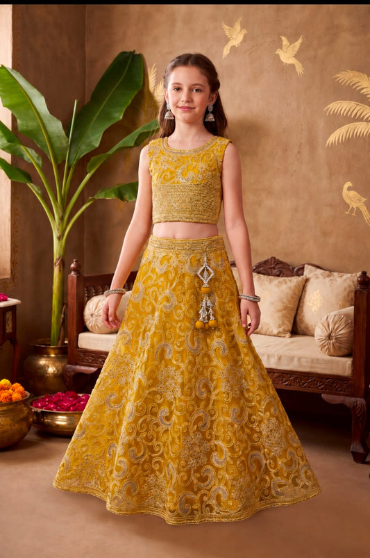 CHOLI DK 2564