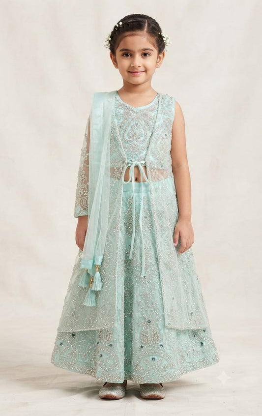 Choli DK346