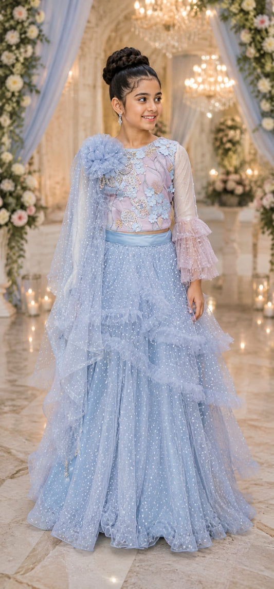 Choli DK391