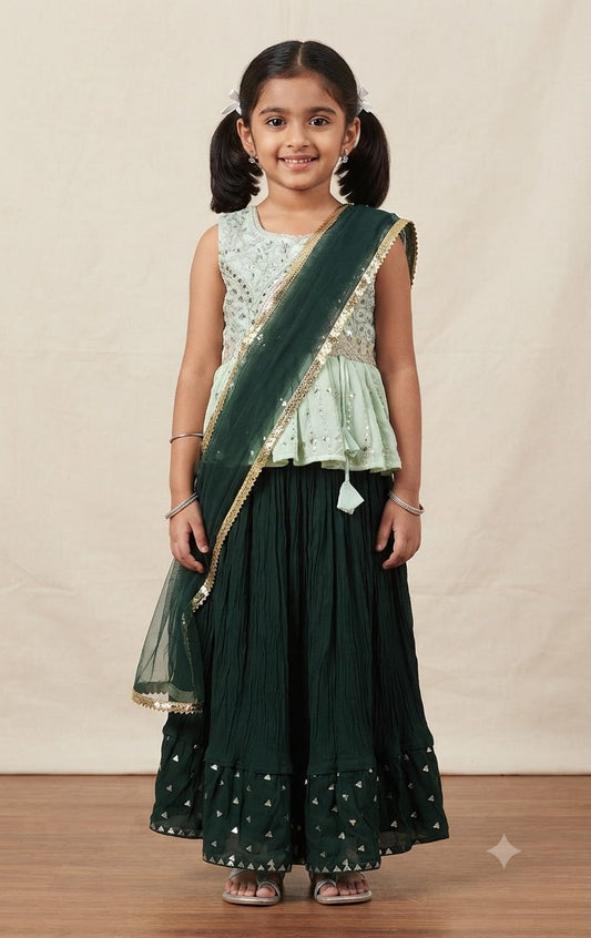 Choli DK436B