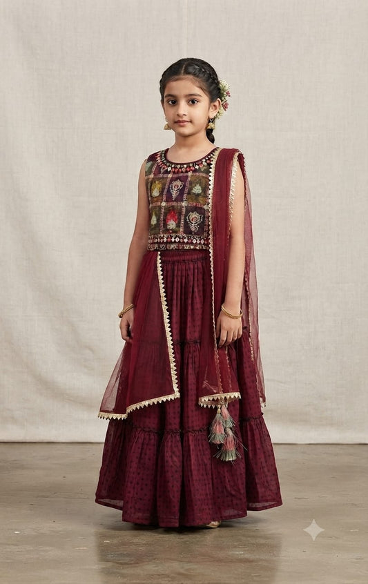 Choli DK449