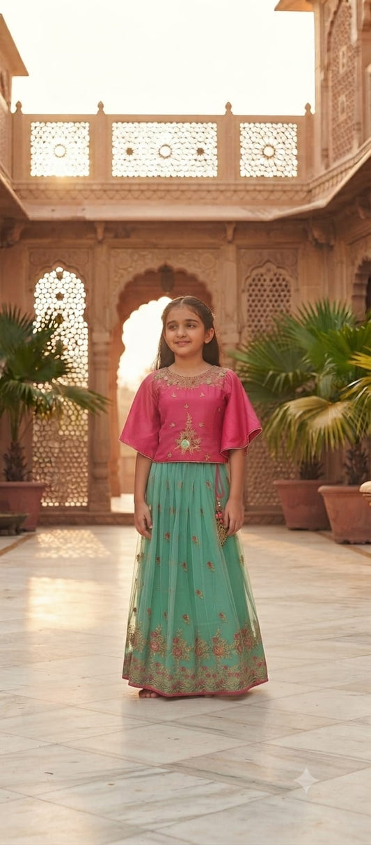 Choli DK742