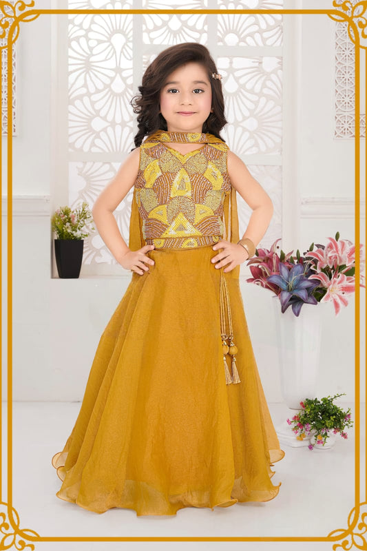 CHOLI DK 2392