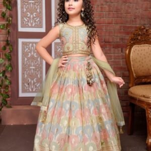 Girls lehenga choli kota silk pista colour