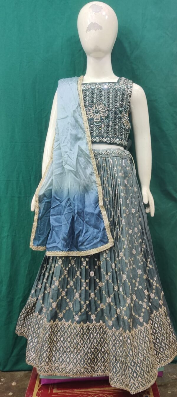 Girls Lehenga Real Mirror Work And Sequence Work Unique Concept Fabric Chinon