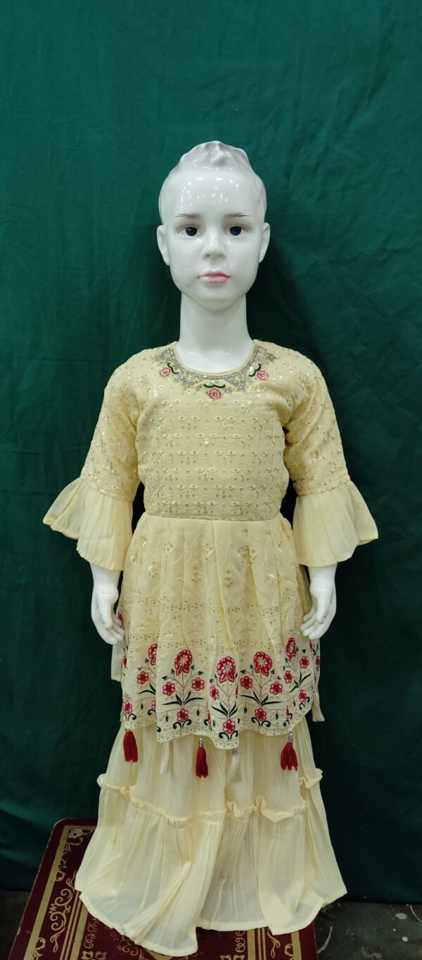 Girls Sharara Machine LucknoW Work Georgette Fabric