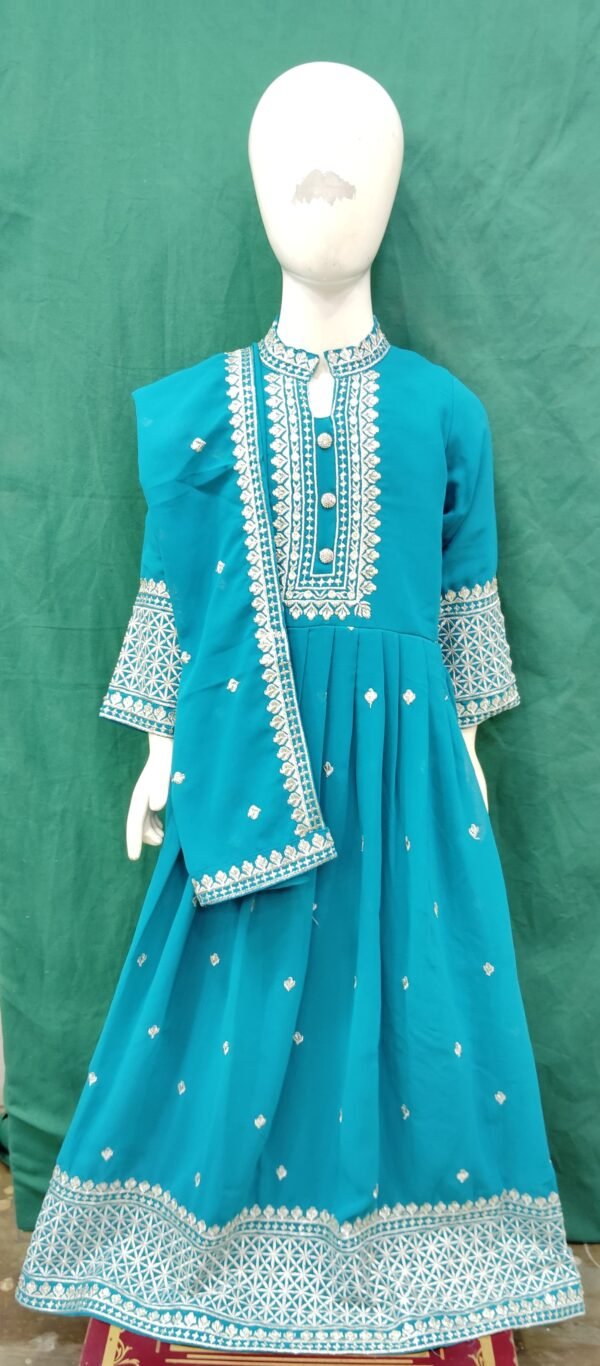 Girls Anarkali Embroidery Heavy Borders WorK Chiffon Fabric