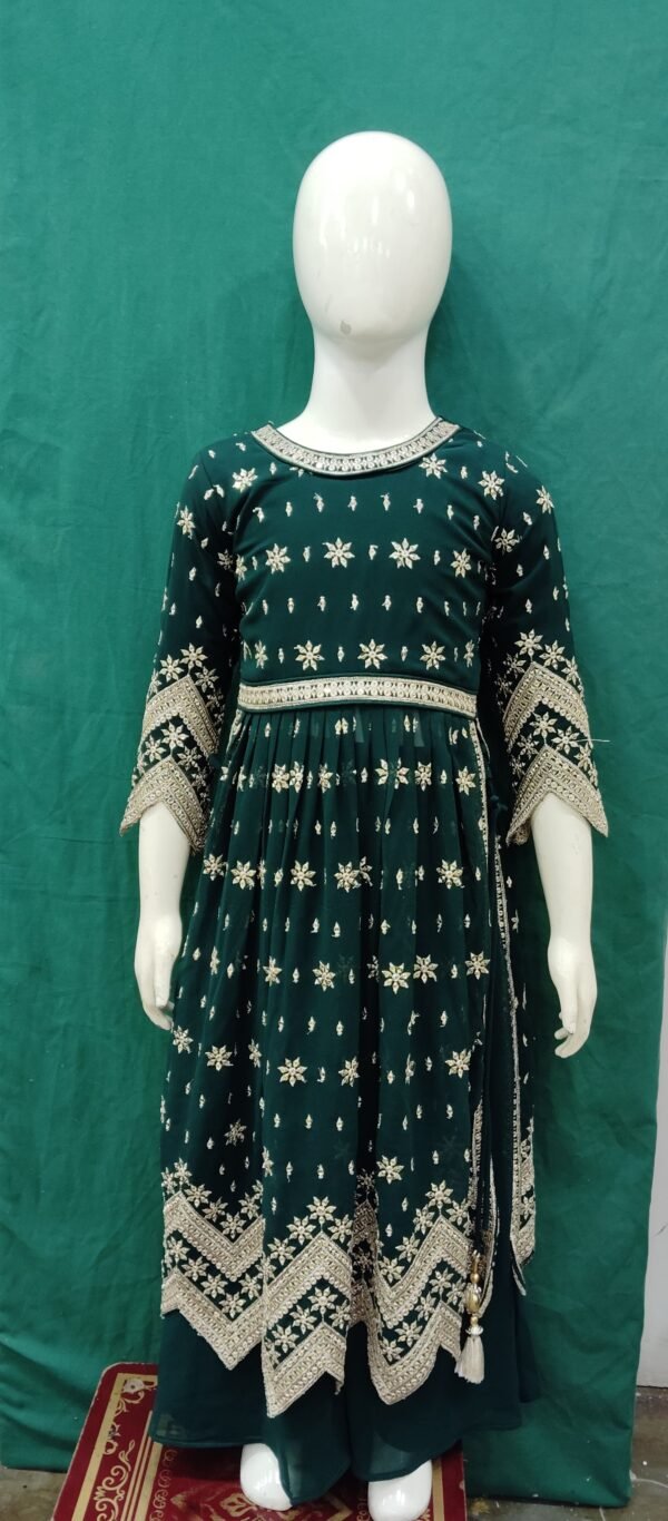 Girls Naira Cut Sequence Work Chiffon FabRic