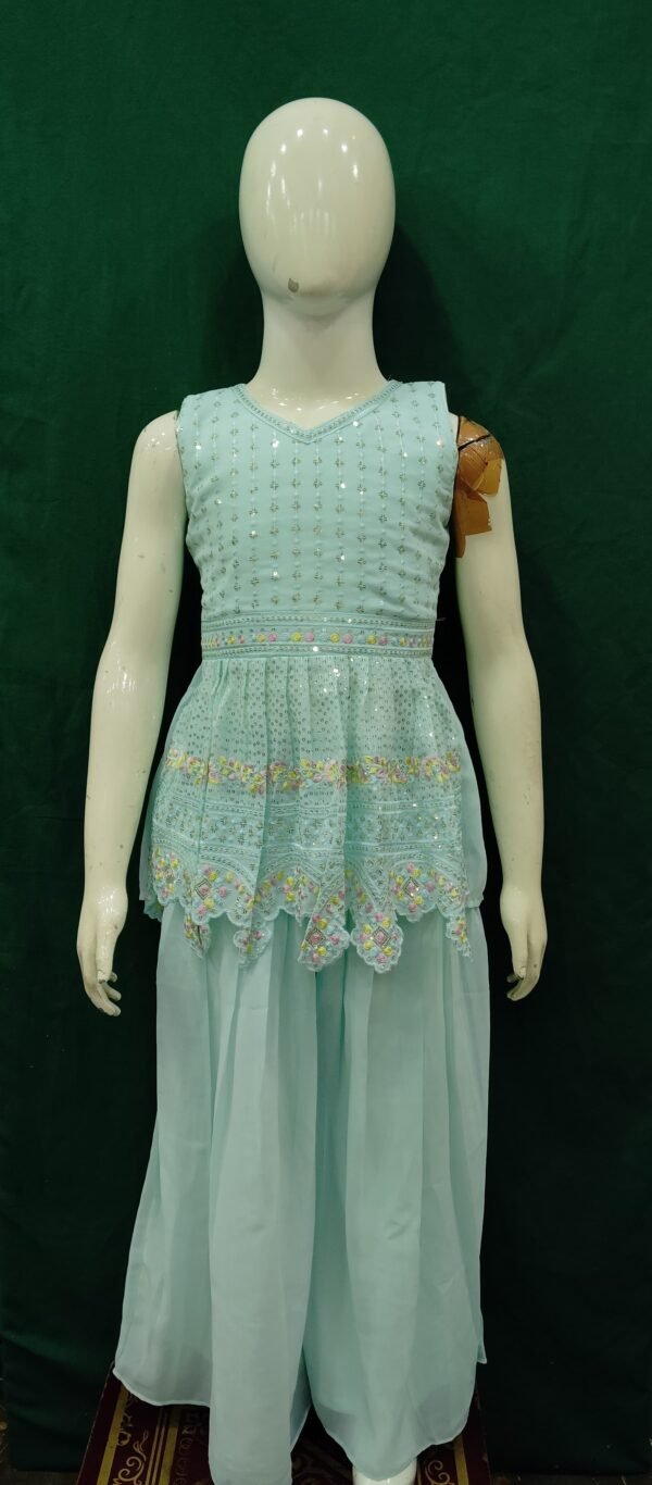 Girls Plazo SeqUences Work Chiffon FabRic