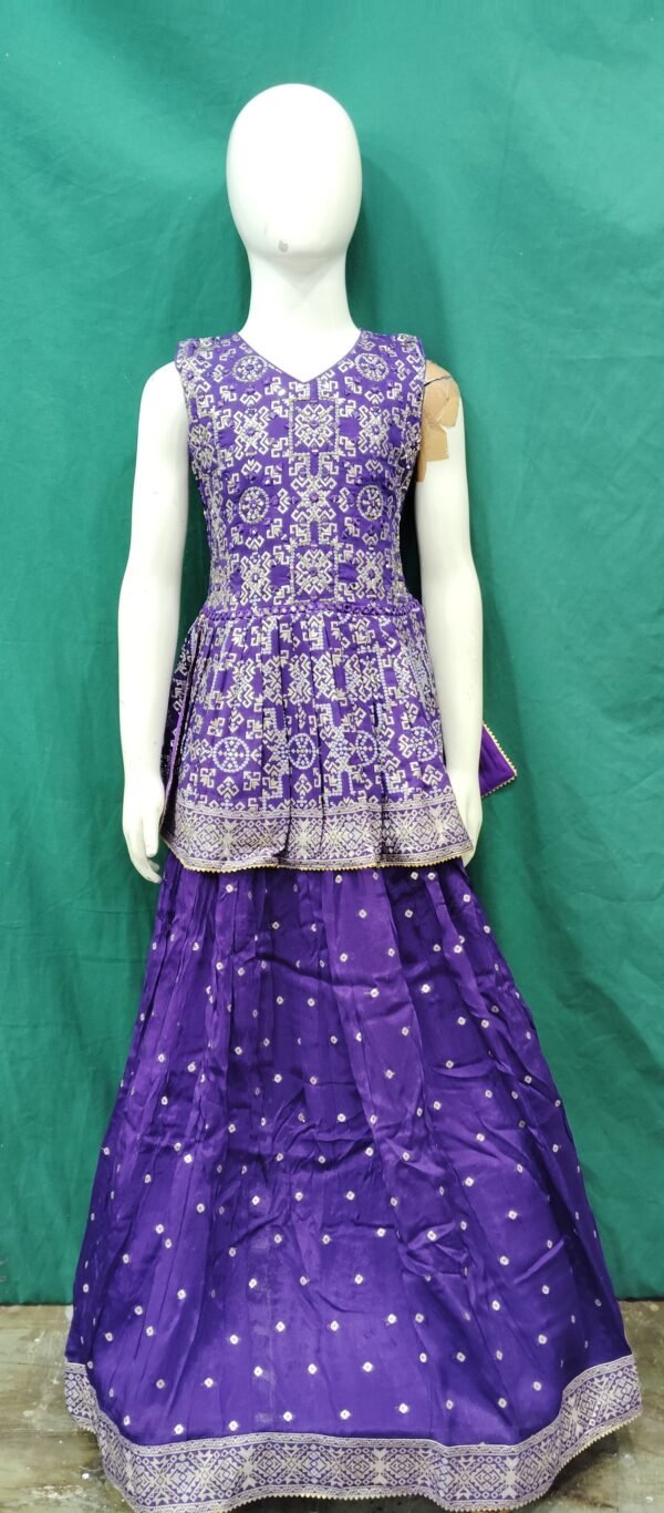 Girls Lehenga Peplum Top Real Mirror Work Heavy Boder Butter Chinan Fabric