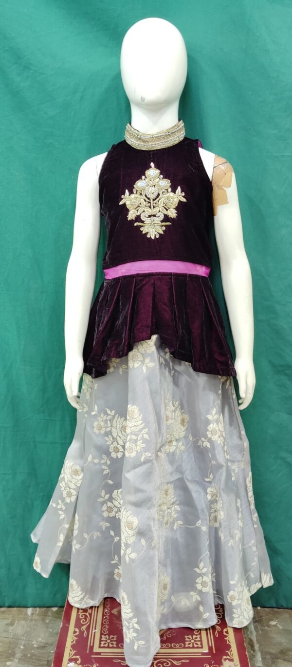 Girls Lehenga High Neck Problem Style Organza Fabric Hand Work