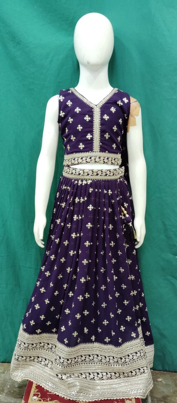 Girls Lehenga Sequence Works ChiffoN Fabrics