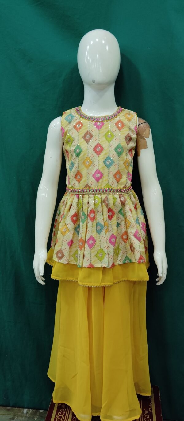 Girls Plazo SeqUences Works Chiffon FabrIc