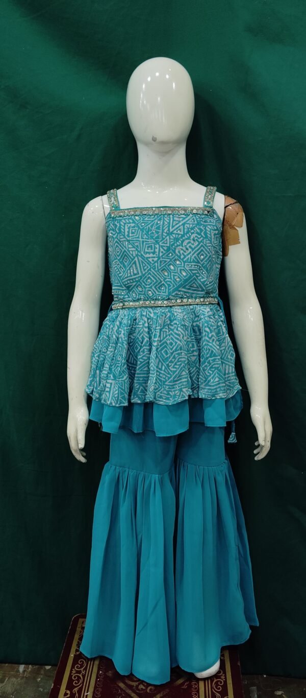 Girls Sharara Sequence Work Chiffon Work