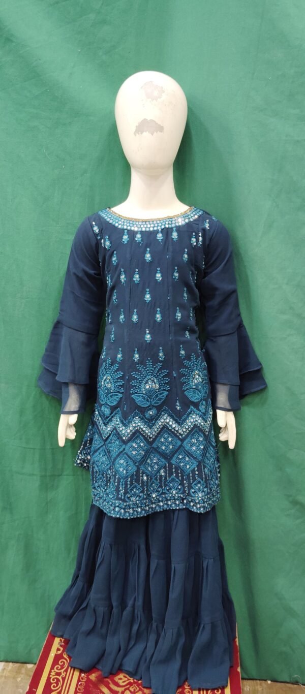 Girls Sharara Embroidery Works Chiffon Fabric