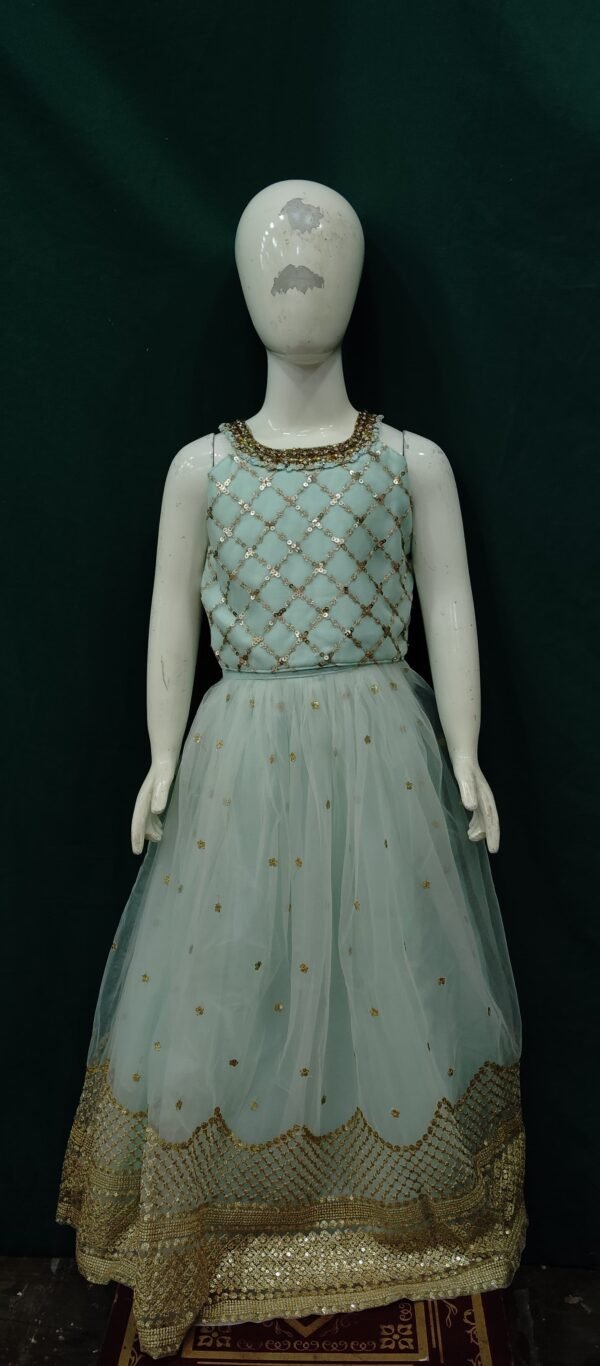 Girls Lehenga Sequences Works SofT Net Fabric