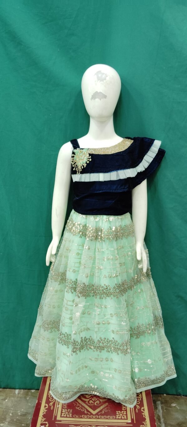 Girls Lehenga Sequences Works SofT Net Fabrics