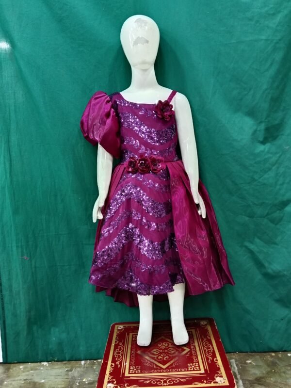 Girls Short Frock Sequence Work Organza FaBric
